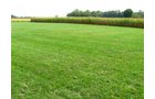 Property photo 16 - Real Estate Auction - 31+/- Acres Offered in 3 Tracts Including a 3-Bedroom Home